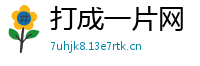 打成一片网